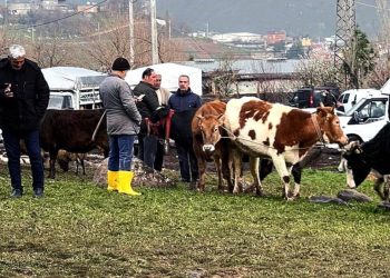 Burası kapalı, ama kağıt üzerinde…