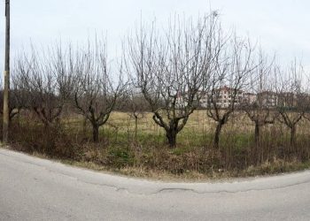 Deprem toplanma alanına 97.5 milyonluk millet bahçesi