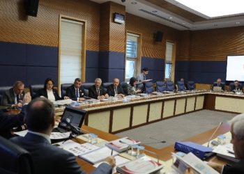 ‘Depremde orta ve üzeri hasar alan yapı denetimli bina sayısı 216’