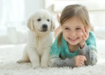 Evcil hayvanların çocuklara katkıları nelerdir?