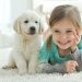 Evcil hayvanların çocuklara katkıları nelerdir?