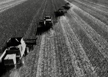 İklim Değişikliği Bölüm I: İklim krizi kapıda