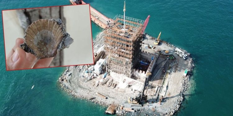Kız Kulesi’nin duvarlarından midye kabuğu çıktı