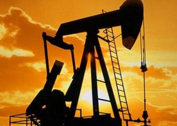 Necdet Pamir: Söylem ve eylem birbirinin tersi!