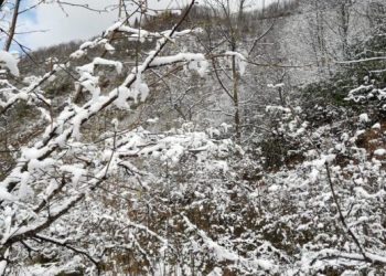 Sebze ve meyve fiyatlarına nisan karı zammı gelebilir