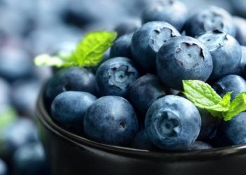 Yaban mersini daha fit ve sağlıklı olmanın sırrı olabilir