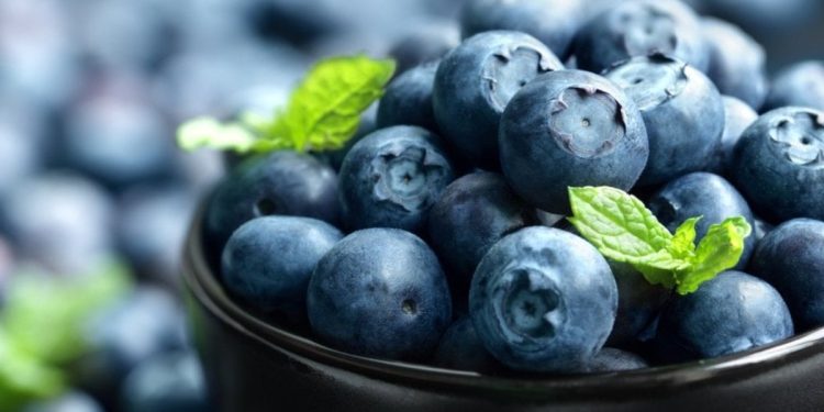 Yaban mersini daha fit ve sağlıklı olmanın sırrı olabilir