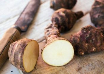 Yer elmasının bilinmeyen faydaları