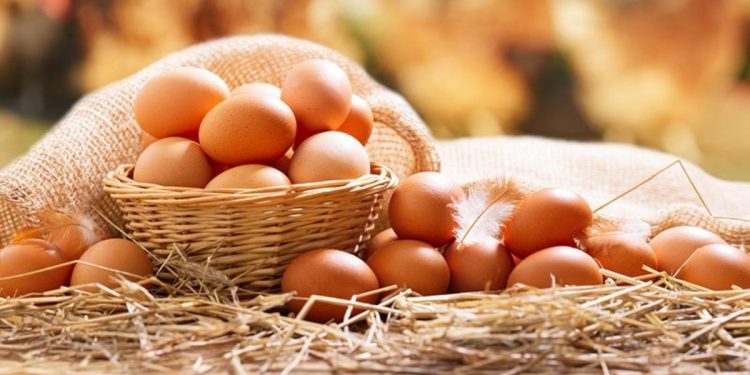 Yumurta üreticileri: Yükselen fiyatlardan vatandaş kadar biz de şikayetçiyiz