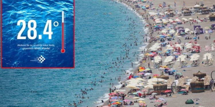 Akdeniz’de tehlikeli rekor