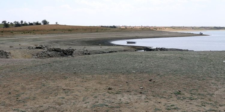 Binlerce dönüm araziyi sulayan Altınyazı Barajı’nda doluluk yüzde 15’e düştü