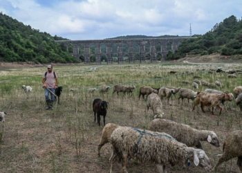 İstanbul’a su sağlayan 10 barajın 6’sında korkutan oran