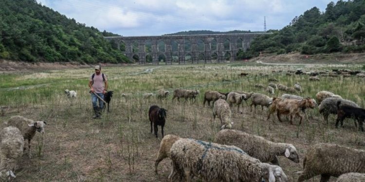 İstanbul’a su sağlayan 10 barajın 6’sında korkutan oran