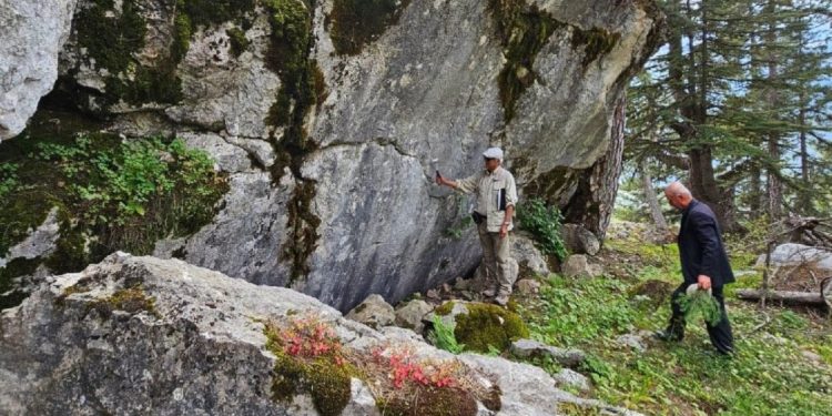 Prof. Dr. Pampal’dan ‘Savrun fayı’ açıklaması