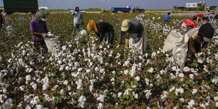 Üretici hayal kırıklığına uğradı: Açıklanan fiyat kurtarmaz