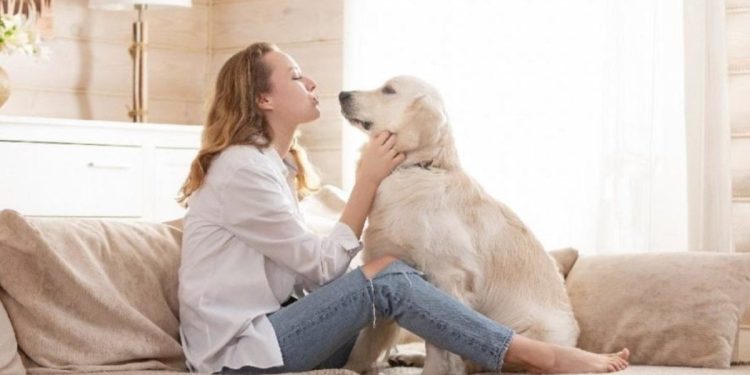 4 Ekim Hayvanları Koruma Günü: Hayvan hakları neler?