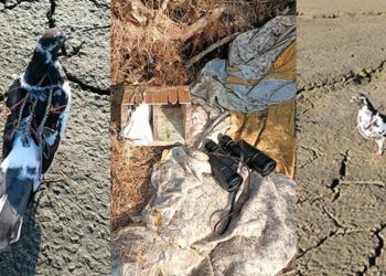 Koruma altındaki kuşları avlayan yabancı uyruklu kişi yakalandı