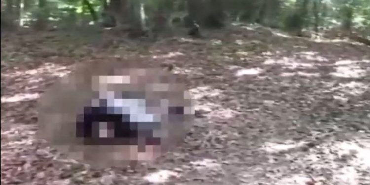 Ormanda dehşet: Tam 27 kez…