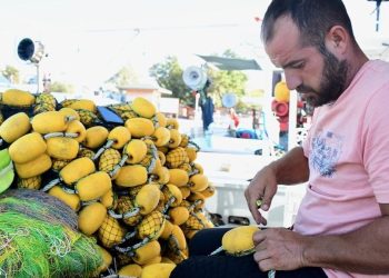 Özer ailesi 103 yıldır denizde, balık peşinde